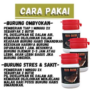 100 BUTIR JAMU HERBAL PERKUTUT RAJA GACOR pil apbn bird care prebiotik madura koong super kuong jpj gold coin dewa gacor crystal perkutut super biru phoenix bhocor larasati suhu kicau bio ginseng vitamin pakan perkutut sakti phoenix milet sangkar kurung