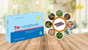 Viên Tĩnh Mạch TM - Kingphar hộp 30 viên