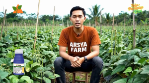 ALIKA 247 ZC 100 ML INSEKTISIDA HAMA KUTU TANAMAN