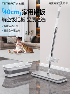 Water Absorbing Flat Mop 2025 New Home Use One Mop for Wet And Dry Cleaning Hand Free Washing Stainless Steel Pole Ultrafine Fiber