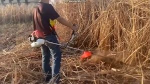 MITSUBISHI JAPAN TB26 26cc 2-Stroke Straight Shaft Brush Cutter Mesin Rumput Grass Cutter Made in JAPAN