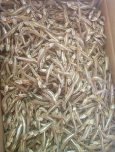 ikan asin TERI ASIN / CEMEK SUPER bersih 1KG MANTAP