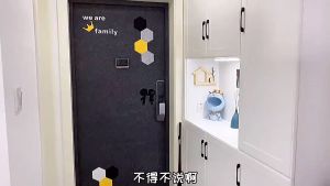 LUMBL Đón Gót Giày 63cm 07mm Treo Tường Từ Tính Tủ Giày Màu Trắng/Đen/Xanh/Tím