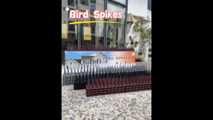 Bird Spikes Plastic Anti Bird Deterrent Fence Protector Pest Control for Garden Balcony Outdoor