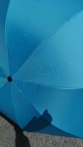 [BUY 1 TAKE 1]Magic Folding Sun Rain Umbrella  Windproof Payong Flowering Umbrella Cover