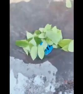 304 Stainless Steel Floor Drain Anti-Blocking Balcony Drain Cover Roof Floor Drain 50/63/75/110MM Sewer Tools