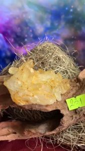 Một mẫu hoa đá Thạch Anh vàng citrine lemurian Nga tự nhiên 231