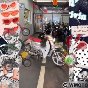 WMOTO CUB CLASSIC 110 std Interchanged