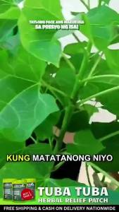 Tuba Tuba Relieve Healing Patch  Gout Organic Natural Rayuma Herbal Pain Reliever