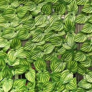 50x100CM Leaf Faux Hedge Fencing Grass Wall Panels For Outdoor Garden Decor