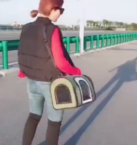 Local Stock Japanese Style Thicken Carrier Pet Bag Dog Travel Bag Dog Carrier Cat Bag Beg Kucing Carrier Cat Kucing
