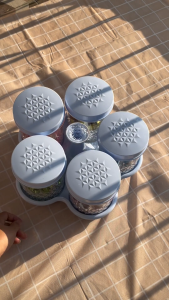 Toples Calista Kristal 6 Bunga Calista Toples Premium Toples Kue Kering Lebaran 6 Bunga