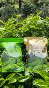 ใหม่! ชาเขียวอู่หลง+ชาเขียวอัสสัม ขนาด100กรัมแพ็ค2 ถุงซิปล็อก