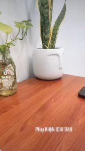 Giá Đỡ Điện Thoại Iphone Samsung Hợp Kim Nhôm Cao Cấp Để Bàn KHÔNG LẬT KHÔNG TRƯỢT CHẮC CHẮN K5 K6 K61 K62 K72 XP07