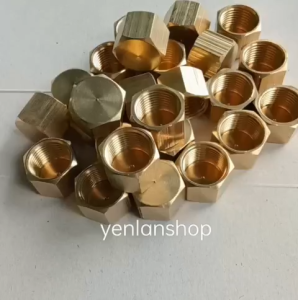 Compo 5 cái Đầu bịt ren trong (đồng thau)