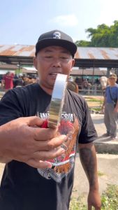 Sisir Pembersih Bulu Sapi Kerbau Kuda dan Kambing