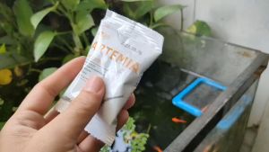 Artemia sấy khô Không cần ấp - Thức ăn dinh dưỡng cao cho cá cảnh