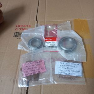 Bộ chén cổ : Wave . SP .Fu . AB . WINER . CLICK . Vario . PCX . SHVN .SHMODE