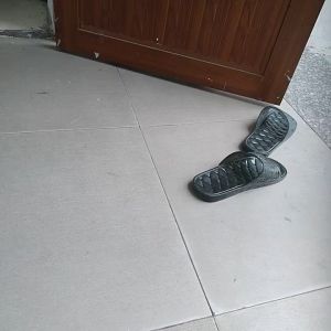 đèn  nhốt muỗi đèn hút muỗi