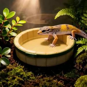 Reptile Water Bowl Wooden Barrel 3D Printed PETG Safe Drinking Dish Terrarium Decor for Leopard Gecko Crested Gecko Bearded Drag
