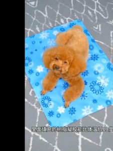 Pet Cooling Mat Summer Dog Cat Sleeping Ice Mat Washable Reusable Anti scratch durable  Quality Cooling Sheet 宠物冰垫