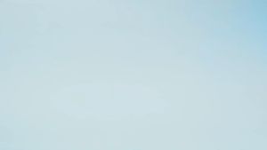 Salveo Barley Grass: Australia Grown & 100% Organic