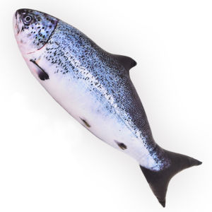 Simulated Fish Pillow Plush Toy Doll Doll Salted Fish Pillow Salmon Salmon Sleep Pillow Long Pillow Fish