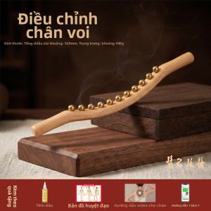 HUIJI | Bàn Chải Massage Toàn Thân cho Bấm Huyệt tại Nhà và Spa