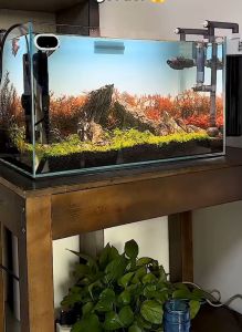 Bộ bóp tay hút cặn thay nước cho bể cá cảnh (có van khóa) Bóp Tay Hút Cặn Và Sang Chiết Chất Lỏng - Lazada