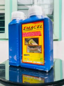 Insektisida EMACEL 30 EC dari Excel Megindo Mantab