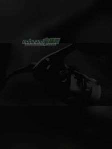 SHIMANO | Long Casting Saltwater Fishing Reel