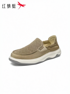 Reddragonfly | Summer Lazy Wear Mens Thick-sole Canvas Casual Shoes