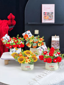 Graduation Celebration Knitted Flower Bouquet