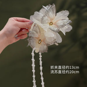 Large Size Butterfly Hair Clip Womens 2024 New High-End Feeling Shark Clamp Hair Tassel Hair Clip Summer Fresh Outburst