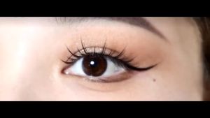 Bulu Mata Palsu 5 Pasang 3D Ekstensi Bulu Mata Fairy Princess Manga Eyelashes