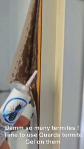 TERMITE GEL KILLER by G-UARD - Highly Effective Formula [NEXT DAY SHIPPING]