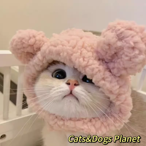 Cat Headgear Pet Hat Cute Funny Dog Puppy Photo Props Rabbit Ears Frog Disguise Cap Dress up