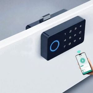 FALEISTON | Fingerprint & Password Security Lock for Office Cabinets Shoe Cabinets and Home Storage