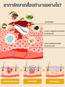 ครีมซ่อมแซมผิวด้วยพิษผึ้ง ครีมโซลูชั่นหลากหลาย ซ่อมแซมผิวมือและเท้า ลดรอยแดงและอาการคัน มอยส์เจอร์ไรซิ่ง ทำให้ผิวนุ่ม ครีมพิษผึ้ง การดูแลผิว