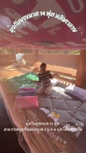 มุ้งกันยุง หลังคาลาย ขนาด 14 ฟุต