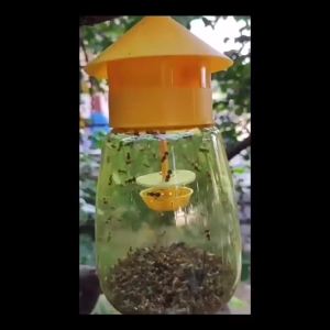 Outdoor Fruit Fly Trap with Attractant Orchard Insect Pest Catcher Garden Pest Control Tools Wasp Drosophila Bait Trap Killer