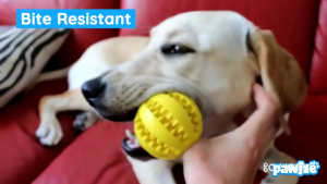 Natural Rubber Pet Dog Toys Dog Chew Toys Tooth Cleaning Treat Ball Extra-tough Interactive Elasticity Ball 7cm for Pet Products