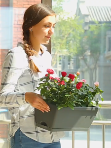 กระถางต้นไม้รางยาว พลาสติก คุณภาพดี พร้อมจานรอง กันน้ำหก มีหลายสีหลายขนาดให้เลือก เหมาะปลูกต้นไม้และตกแต่งบ้าน