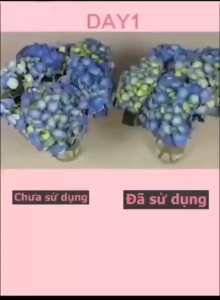 Nước Cắm Hoa Giữ Hoa Tươi Lâu Khử Thối Gốc Kích Nở Hoa GIảm Vi Nấm Lọ Lớn