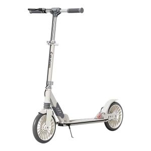Cakalyen | Foldable and Maneuverable 2-Wheel Scooter