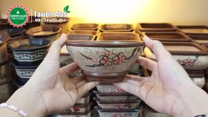 Pot Keramik Bonsai Bundar Unik