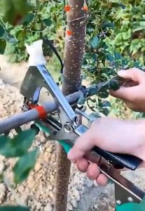 Plant Tying Machine Garden Plants Hand Tying Binding Machine For Vegetables Grapes With 10 Rolls Of Tape+1 Box Nail