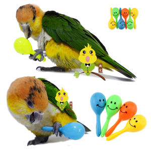 Pet Parrot Training Toy Small Golden Sun Honey Sucking Peacock Conure Foot Chewing Interactive Intelligence Training Sand Drum