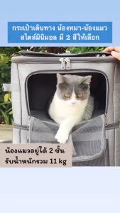 Cherie Pet シ พร้อมส่ง กระเป๋าสัตว์เลี้ยง กระเป๋าแมว เป้สะพายหลัง กระเป๋าเดินทางแมว พร้อมส่ง 2 ขนาด