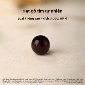 FUJINJIA | DIY Hạt Cây Sưa Ấn Độ Nhỏ Bằng Gỗ